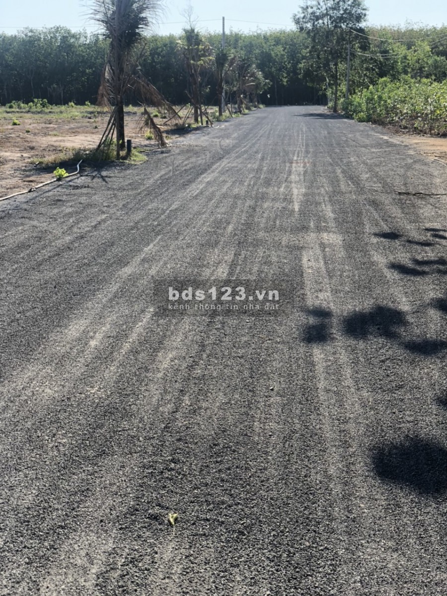 Tôi cần bán 9000m2 đã tách 9 sổ, gần suối nước nóng Bình Châu, tiện xây nhà vườn, đầu tư để dành, chỉ có 1,1tỷ (1tr/m2).