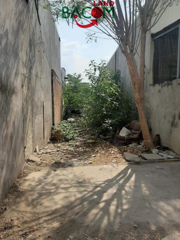 Bán đất dt 127m2 trung tâm BH, sổ riêng có 60m2 thổ cư P. Tân Phong, Biên Hòa