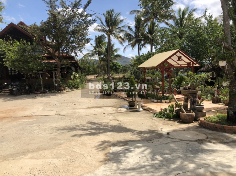 Bán lô đất SHR, Xây dựng ngay, sang tên trong ngày