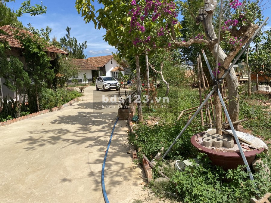 Bán lô đất SHR, Xây dựng ngay, sang tên trong ngày