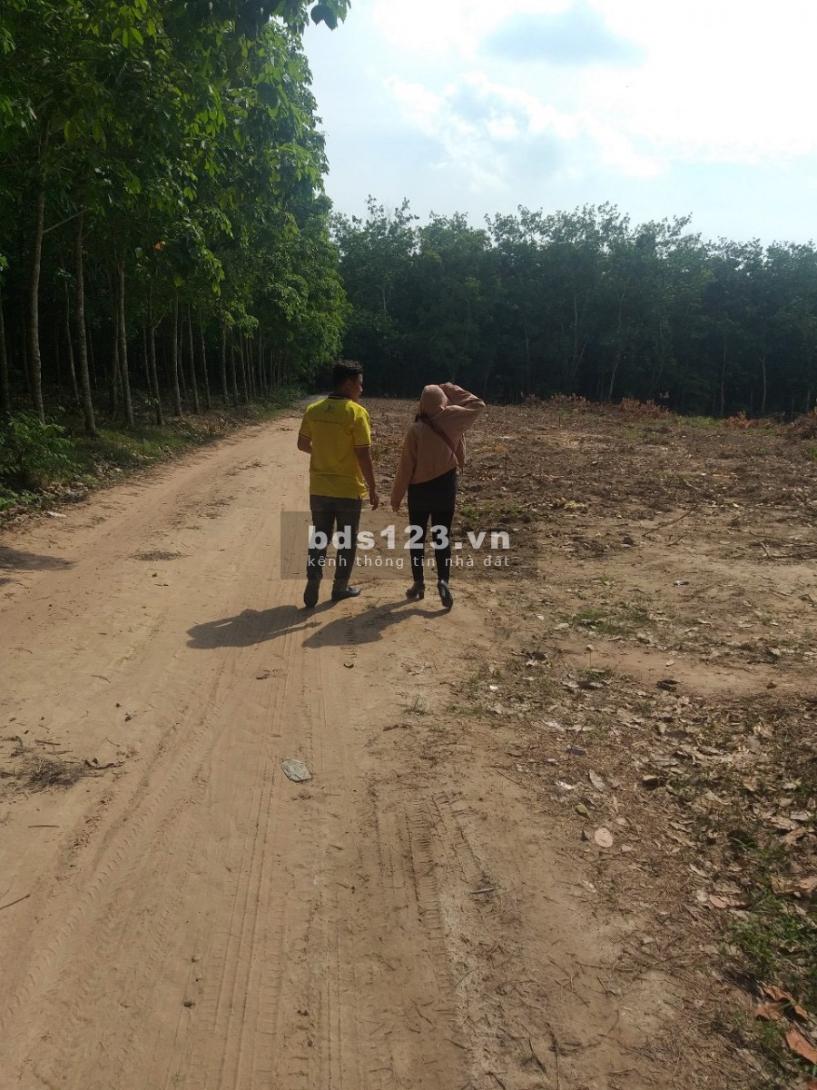 Cần bán đất Chánh Phú Hòa sổ sẵn bao công chứng.
