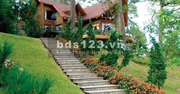 HOT _Đất Thổ cư Lộc Tân đối diện đồi chè TÂM CHÂU