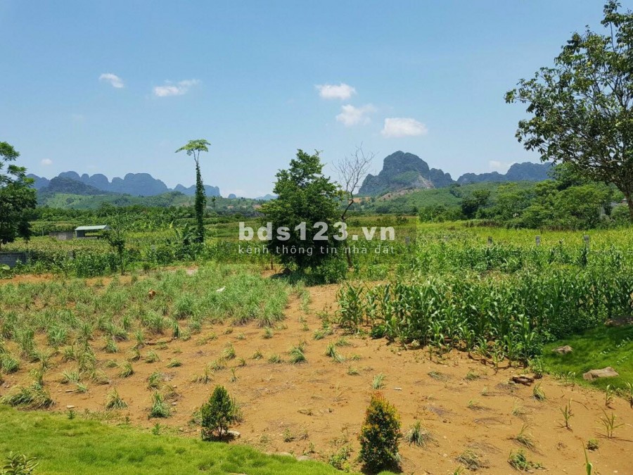 BÁN ĐẤT SẴN KHUÔN VIÊN 4200M TẠI LƯƠNG SƠN HÒA BÌNH
