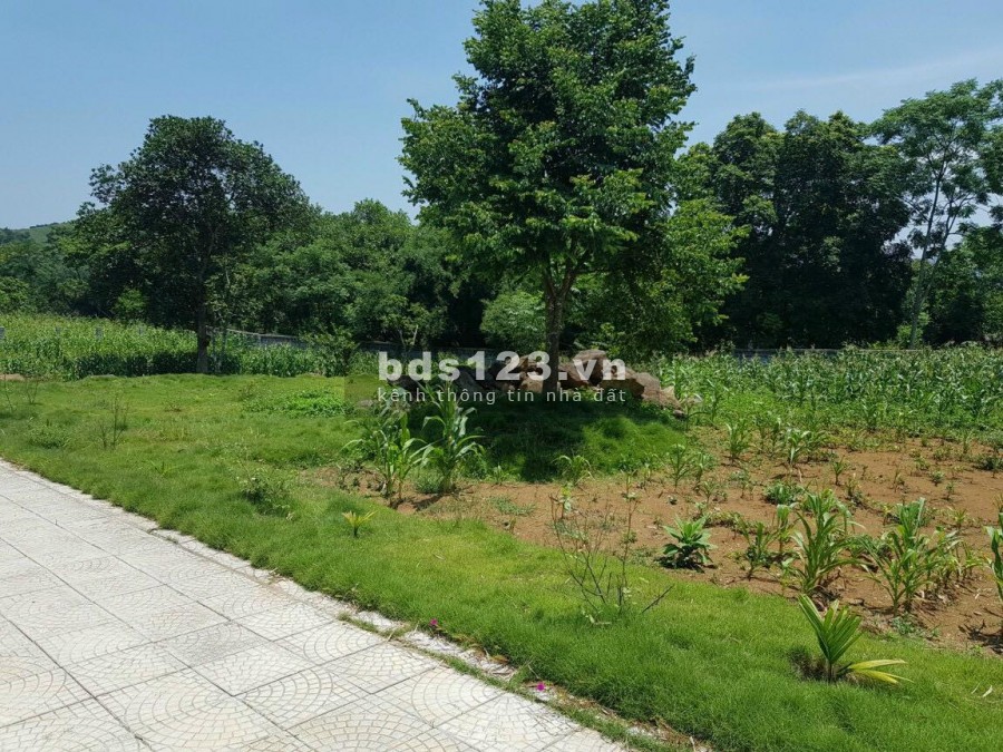 BÁN ĐẤT SẴN KHUÔN VIÊN 4200M TẠI LƯƠNG SƠN HÒA BÌNH
