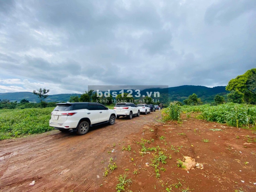 ĐẤT NGHỈ DƯỠNG GOLDEN HILL ĐÀ LẠT CHỈ TỪ 1.7 TRIỆU/M2