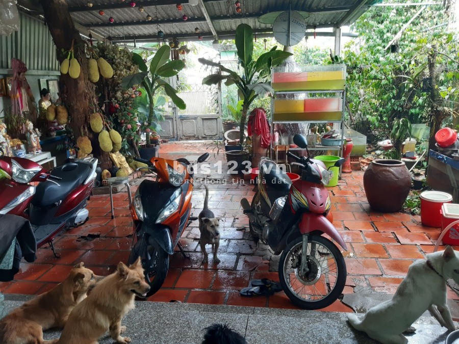 Nhà mặt tiền 8x40m Sông Lu, Hòa Phú, Củ Chi
