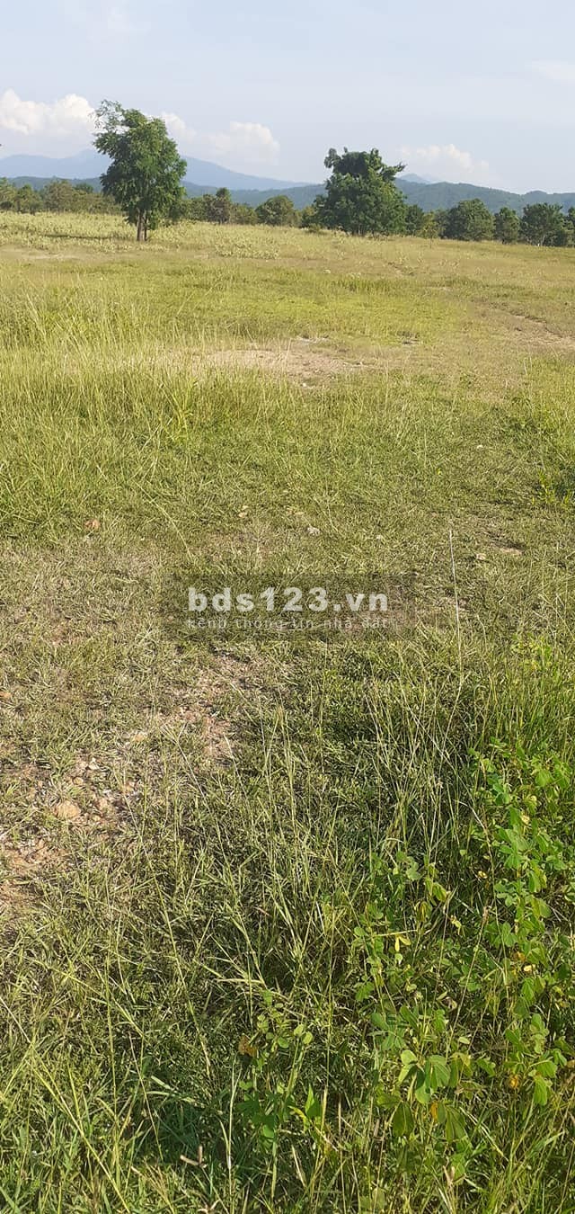 Đất Lương Sơn, mặt tiền đường hiện hữu, ngay đường ra sân bay
