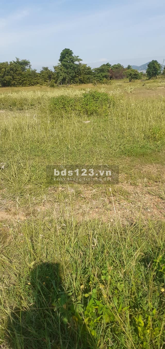 Đất Lương Sơn, mặt tiền đường hiện hữu, ngay đường ra sân bay