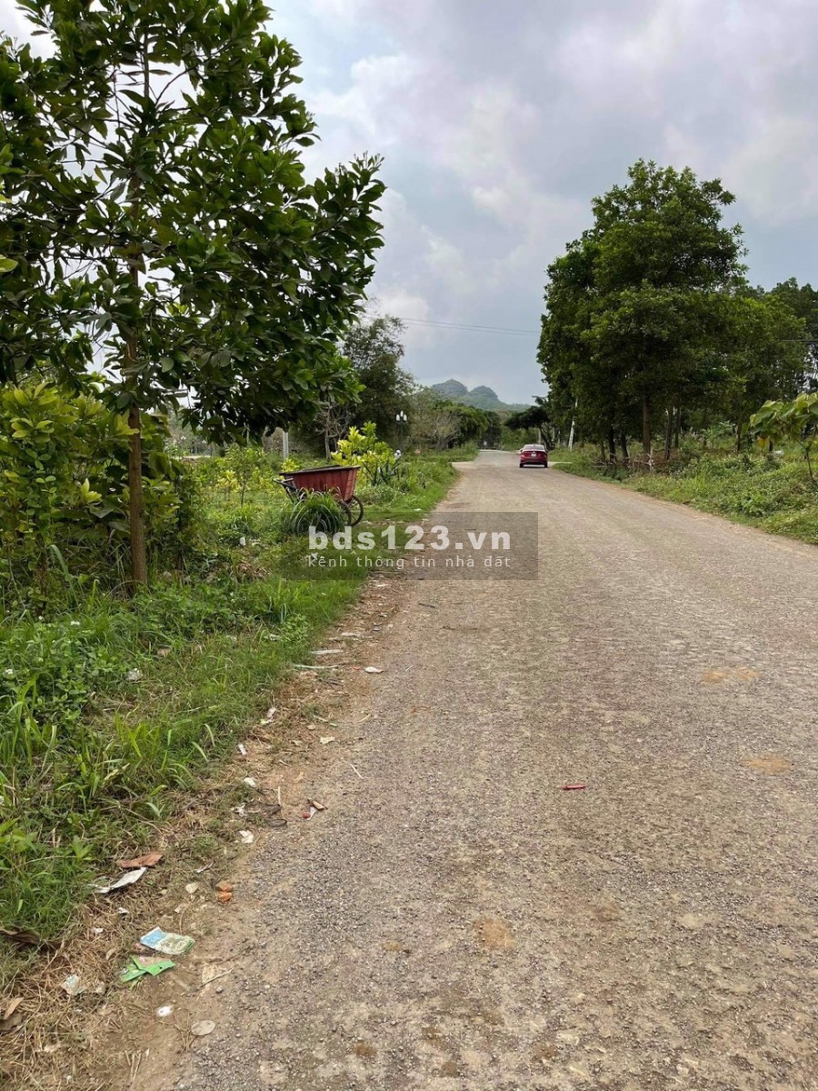 Bán đất tại xóm 9, Gia Sinh, Gia Viễn, Ninh Bình ( đường Anh Trỗi )