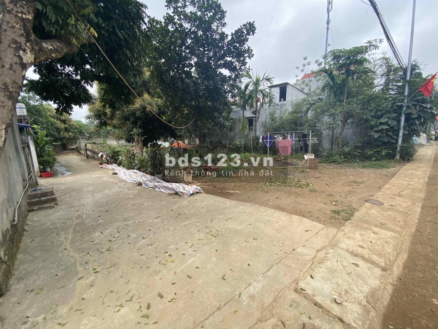 Chính chủ bán mảnh 251,2m mặt đường trục chính Phú Mãn Quốc Oai Hà Nội (cách QL21 400m) Ảnh thực tế