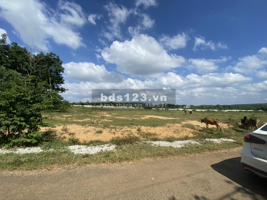 Cần bán lô đất ngay Trường ĐH Ngân Hàng sát bên QL 51, diện tích 4563m2 (400m2 thổ)
