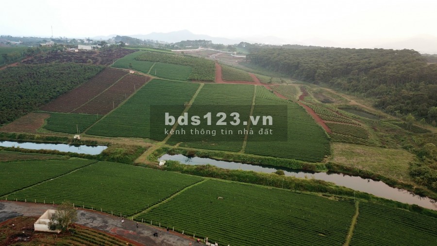 Đất Bảo Lộc Khu Biệt Thự Nghĩ Dưỡng 300m2
