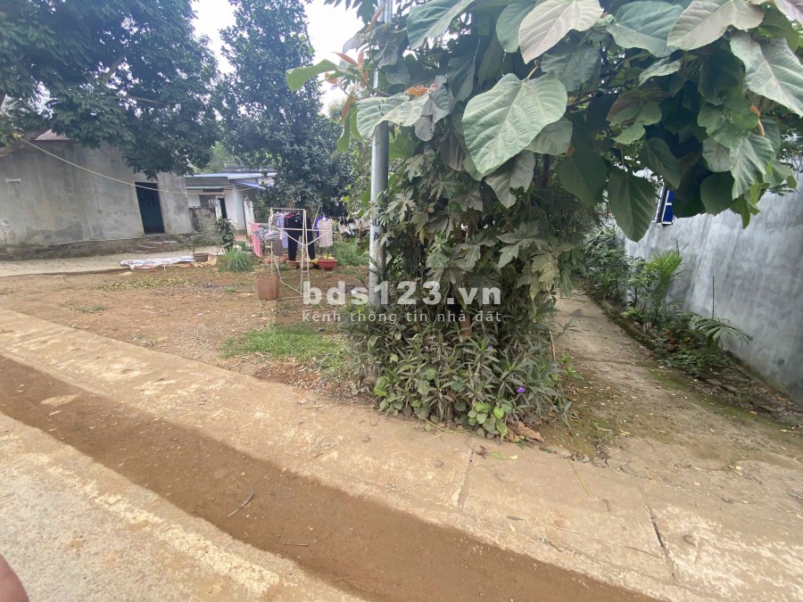 Chính chủ bán mảnh 251,2m mặt đường trục chính Phú Mãn Quốc Oai Hà Nội (cách QL21 400m) Ảnh thực tế