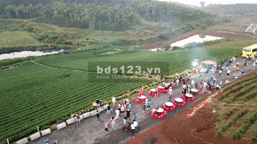 Đất Bảo Lộc Khu Biệt Thự Nghĩ Dưỡng 300m2