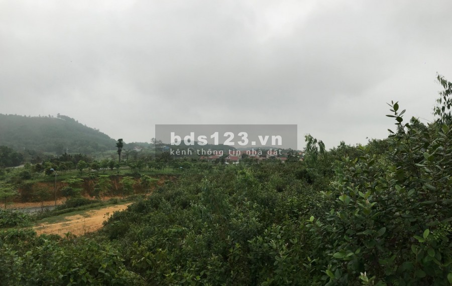 Siêu phẩm 2.8ha cạnh Xanh Villas tại Tiến Xuân, Thạch Thất, Hà Nội