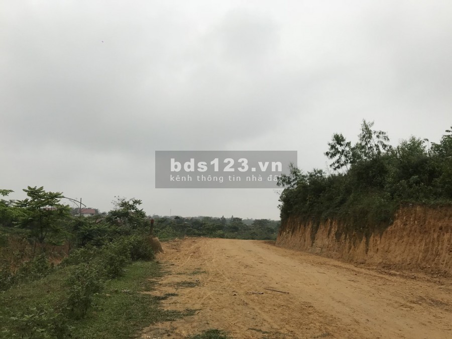 Siêu phẩm 2.8ha cạnh Xanh Villas tại Tiến Xuân, Thạch Thất, Hà Nội