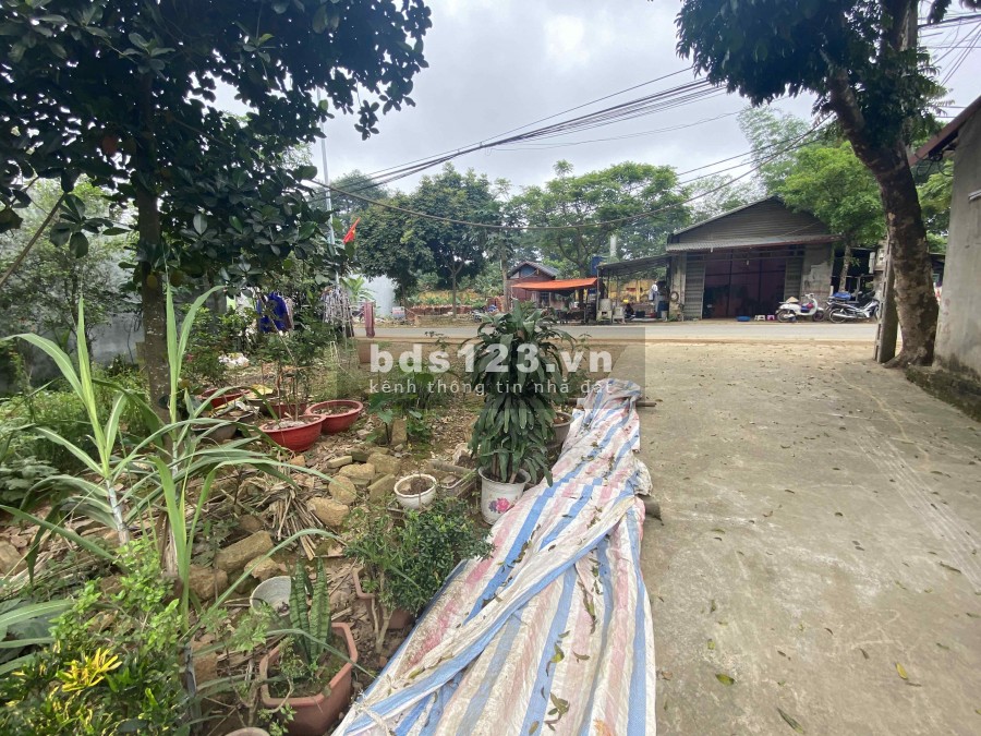 Chính chủ bán mảnh 251,2m mặt đường trục chính Phú Mãn Quốc Oai Hà Nội (cách QL21 400m) Ảnh thực tế