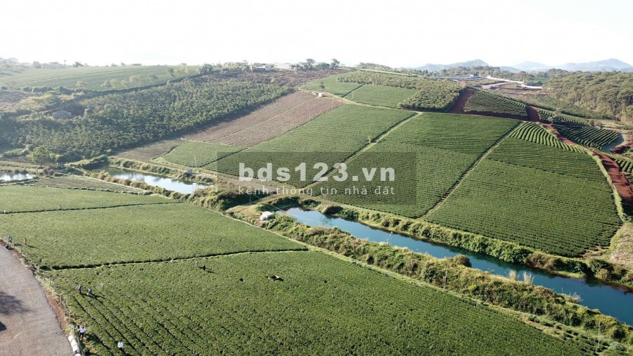 Đất Bảo Lộc Khu Biệt Thự Nghĩ Dưỡng 300m2