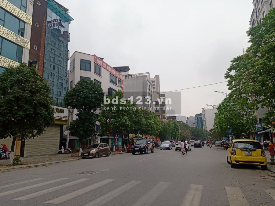 Siêu hiếm! Bán đất mặt phố Cầu Giấy, ô tô, kinh doanh đỉnh, 190m2, mặt tiền 11m, 39 tỷ.