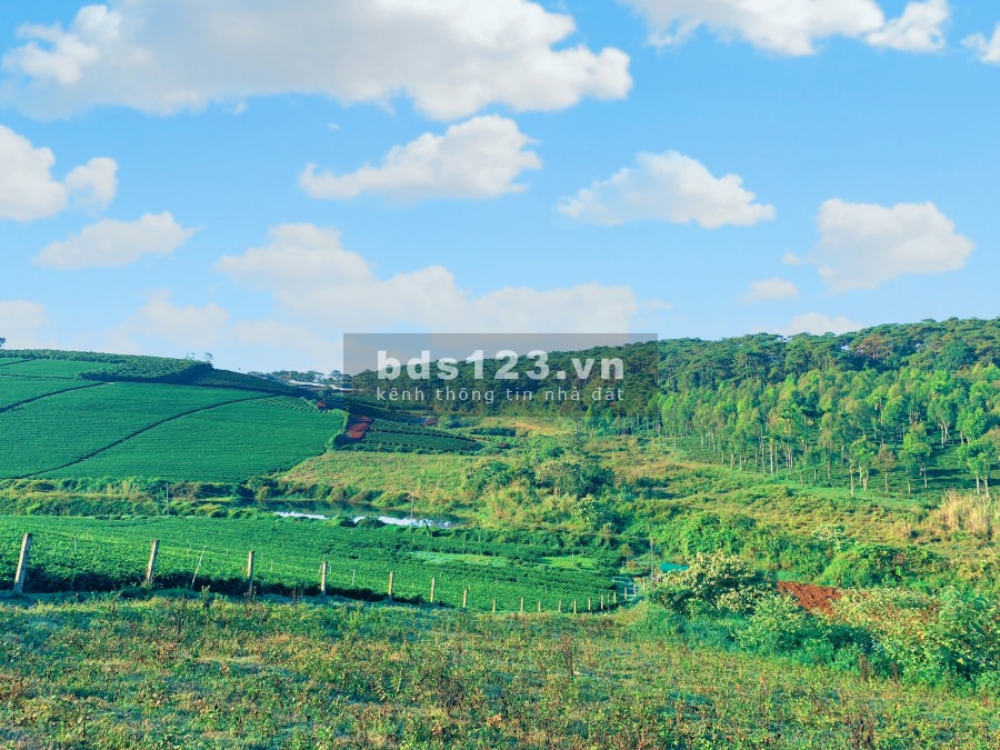 Đất Bảo Lộc Khu Biệt Thự Nghĩ Dưỡng 300m2