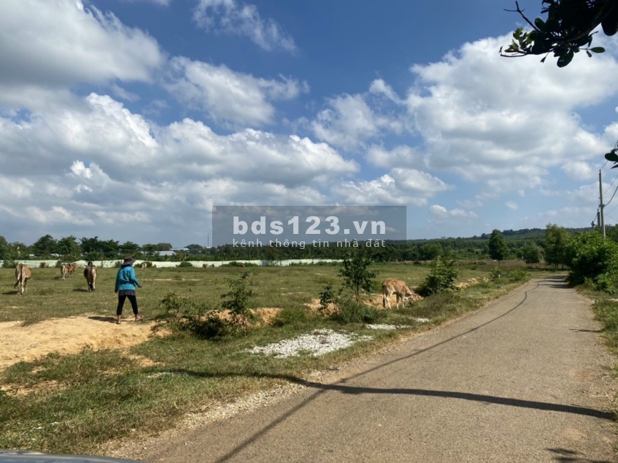 Cần bán lô đất ngay Trường ĐH Ngân Hàng sát bên QL 51, diện tích 4563m2 (400m2 thổ)