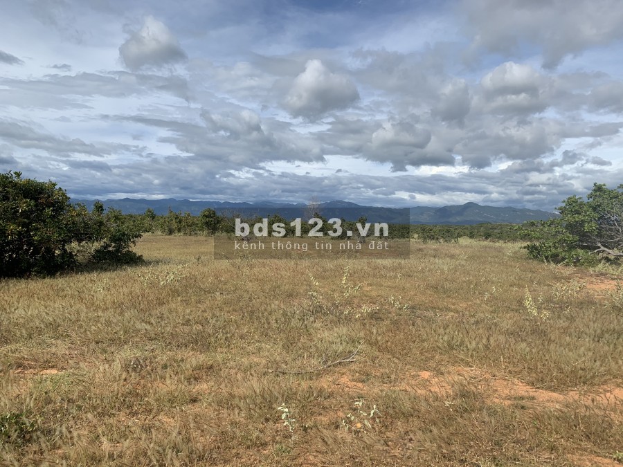 Bán 6921m2 đất vườn bắc bình vuông đẹp gần dự án rạng đông chỉ 519tr Lh 0938677909 Hiền xem sô
