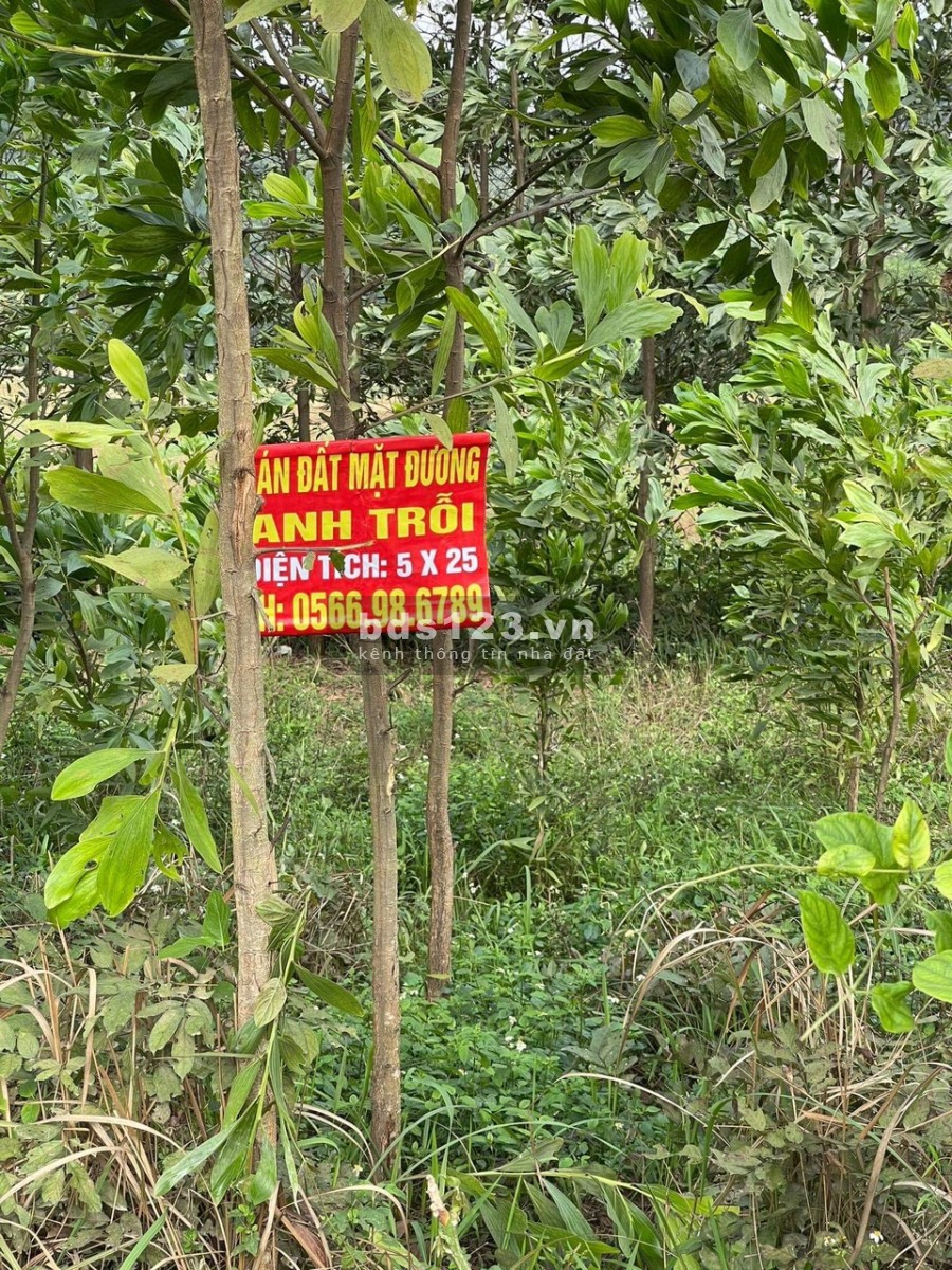 Bán đất tại xóm 9, Gia Sinh, Gia Viễn, Ninh Bình ( đường Anh Trỗi )