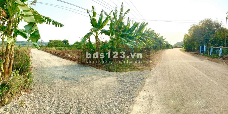 Còn duy nhất 1 lô Giá rẻ cực hiếm tại Long Thành chỉ 1.5tr/m2 sở hữu ngay 1683m2 đất ở cho ai nhanh tay.