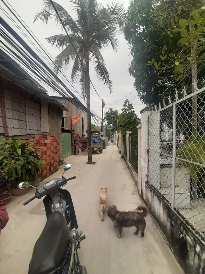 Bán Hẻm 472 Thông (486) Phạm Văn Đồng, Hiệp Bình Chánh, Thủ Đức