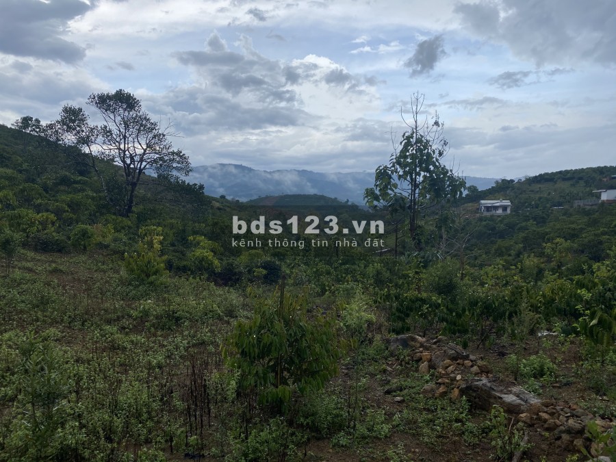 Cần bán lô đất thôn 6 tỉnh Lâm Đồng
