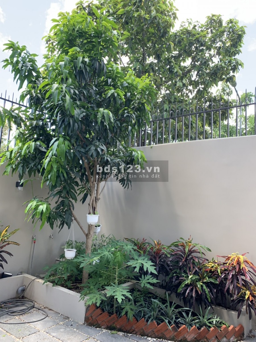 Biệt thự Phú Xuân Nhà Bè! 10x24m2 3 lầu