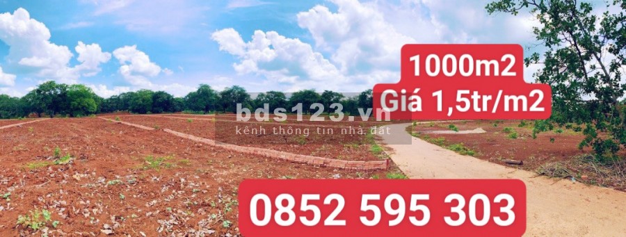 Chính chủ bán gấp lô đất ở Phước Bình, SHR, Giá 1tr5_M2,Đất hồng bao đẹp.