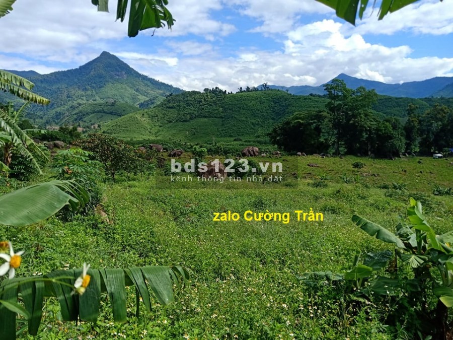 Đất làm khú sinh thái giáp Suối rộng hơn 6ha cần bán giá rẻ LH 0788.558.552