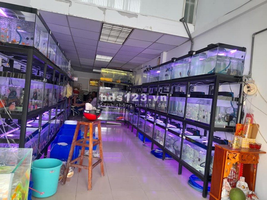 Mặt tiền Lò Siêu, Q11, 2 tầng, ngang 3.5 dài 20m, chỉ 9.9 tỷ