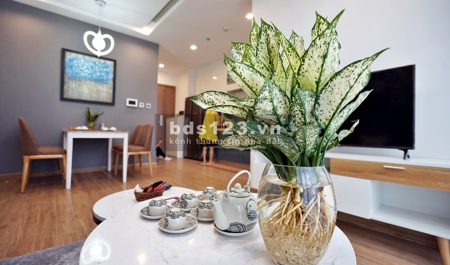 Chính Chủ Cho Thuê CCCC Vinhomes Metropolis 29 Liễu Giai 2 PN Diện Tích 82m2 Full Đồ Nhập Khẩu View Cực Đẹp LH 0915436246