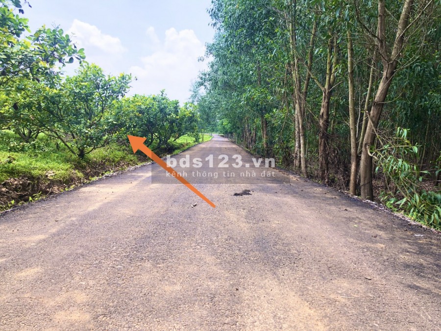 Gấp Gấp chủ đất đá gà thua lỗ cần bán hơn 1 sào điều mặt tiền đường diện tích 1600m2 xã Phước Bình-Long Thành.