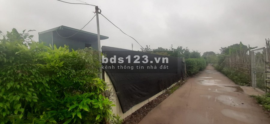 Bán 387m2 đất 50 năm Yên Mỹ, Thanh Trì, giá 1.55 tỷ, 0976151518