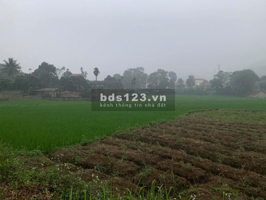 BÁN ĐẤT KỲ SƠN HÒA BÌNH dt1155M VIEW CÁNH ĐỒNG