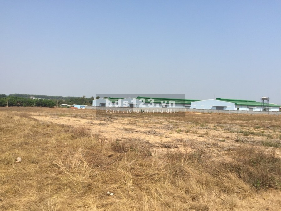 HÀNG HIẾM.BÁN..GẤP 8000m2 Đất Hà Nam