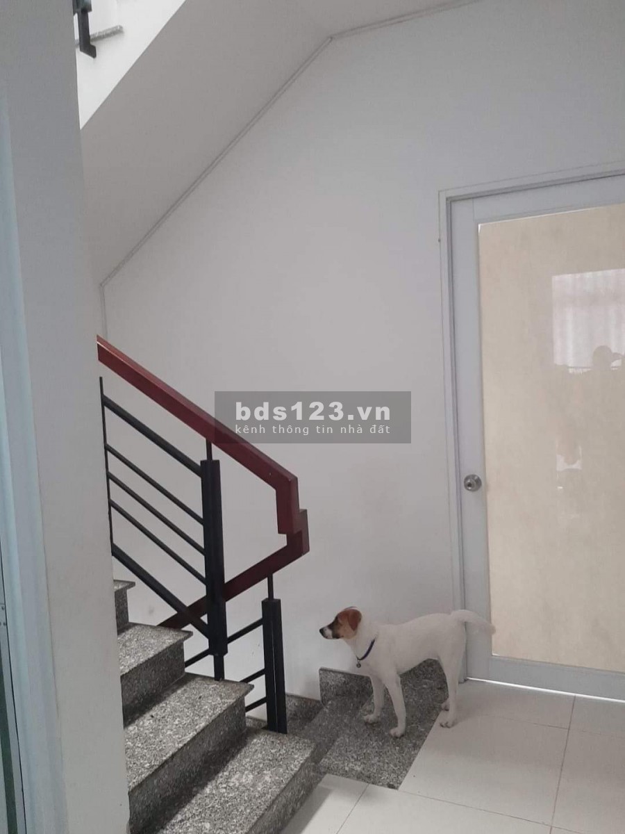 Bán nhà, xây mới 2019, 3 tầng, Phạm Văn Chiêu, P.14, Gò Vấp, chỉ 4 tỷ 6.
