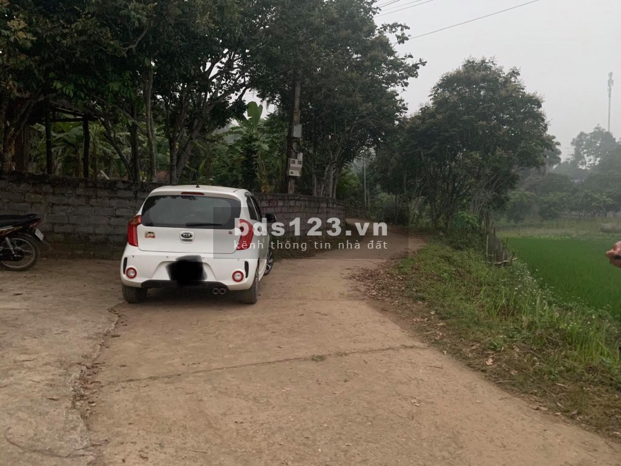 BÁN ĐẤT KỲ SƠN HÒA BÌNH dt1155M VIEW CÁNH ĐỒNG