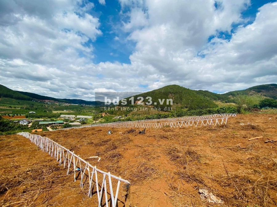 ĐẤT ĐẸP VIEW ĐỒI THÔNG GẦN ĐÀ LẠT 1.7 TRIỆU/M2