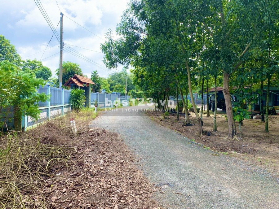 Còn 1 lô vuông vứt (40x40) giá cực rẻ cạnh sân bay Long Thành ngay KCN đã hiện hữu.
