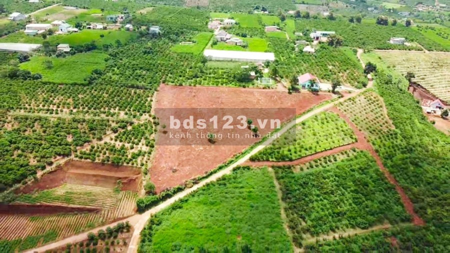 ĐẤT ĐẸP VIEW ĐỒI THÔNG GẦN ĐÀ LẠT 1.7 TRIỆU/M2