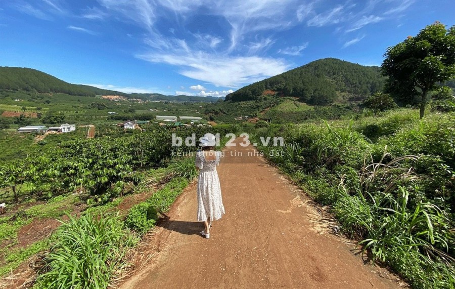 ĐẤT ĐẸP VIEW ĐỒI THÔNG GẦN ĐÀ LẠT 1.7 TRIỆU/M2