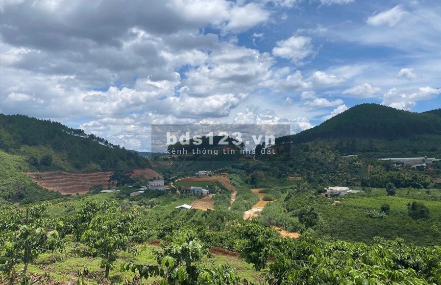 ĐẤT ĐẸP VIEW ĐỒI THÔNG GẦN ĐÀ LẠT 1.7 TRIỆU/M2