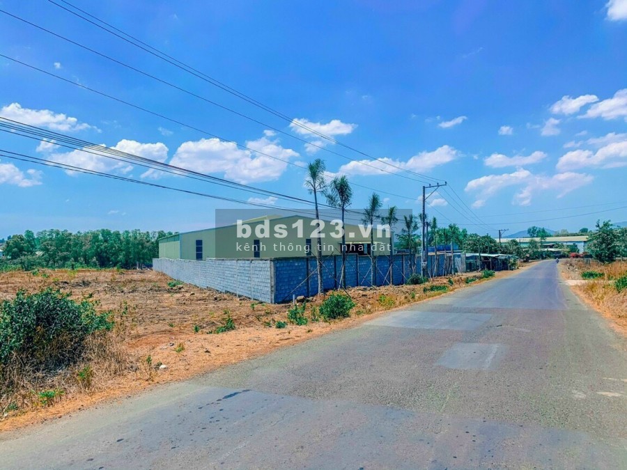 Đất Hồng Công, pháp lý chuẩn, giá đầu tư tốt nhất Long Thành, phí môi giới 0đ