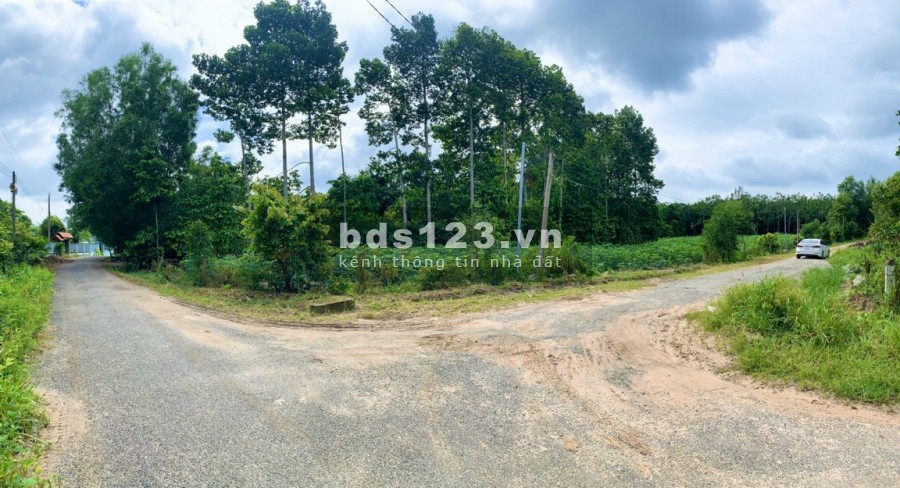Còn 1 lô vuông vứt (40x40) giá cực rẻ cạnh sân bay Long Thành ngay KCN đã hiện hữu.