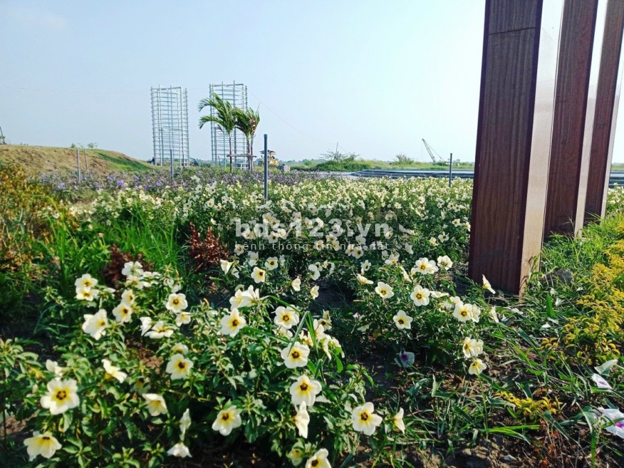 Nền trục chính 100m2 full thổ cư đất sổ sẵn