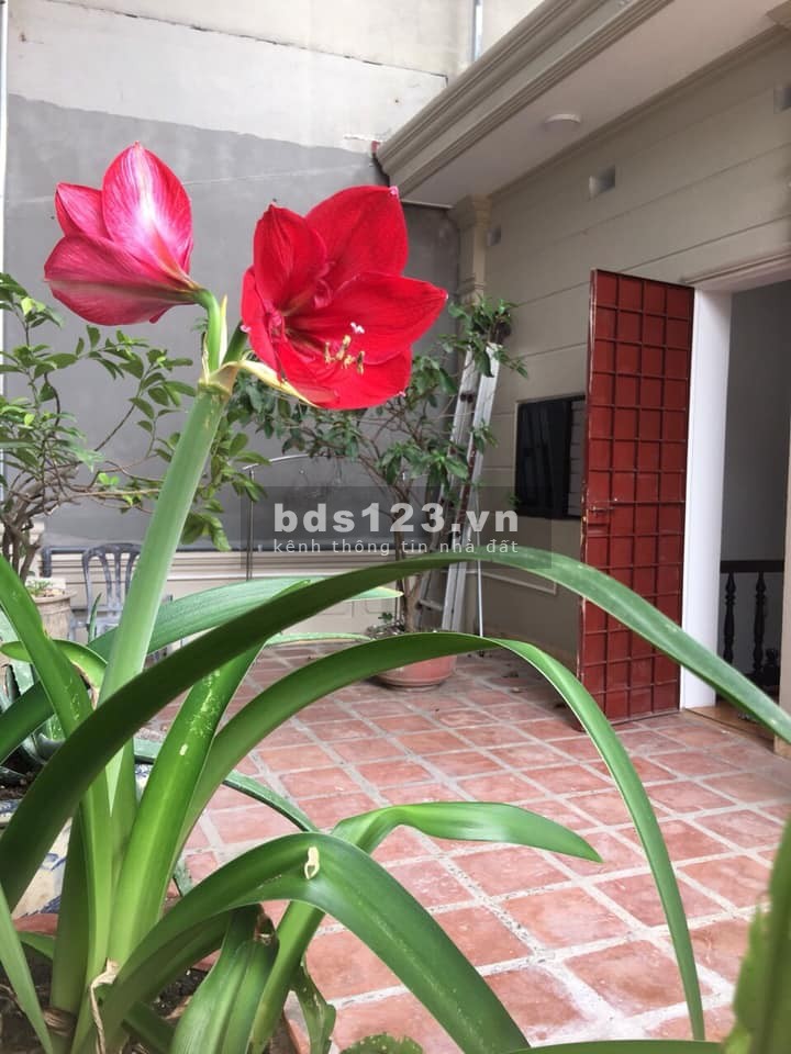 Bán nhà Phố Trịnh Công Sơn, ô tô, kinh doanh, 75m2 x 3T, MT 9m, 14.2 tỷ.